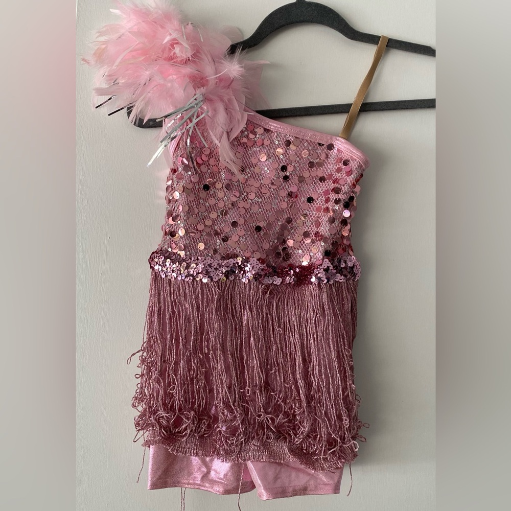 Wish Come True Dancing Fool Pink Fringe Costume